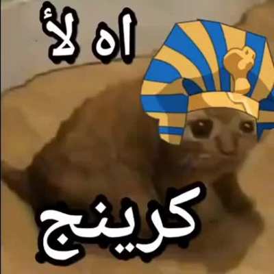 When I see anything Israel related: