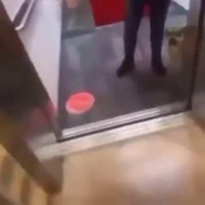 Woman insults dog