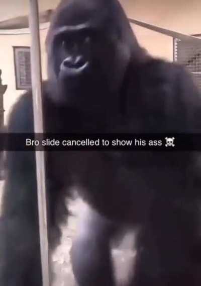DK mains be like