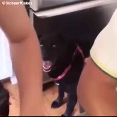 Seen some shit