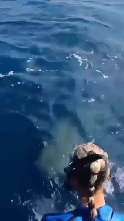 Seems like a nice day for a Swim