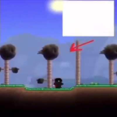 Losercity Terraria