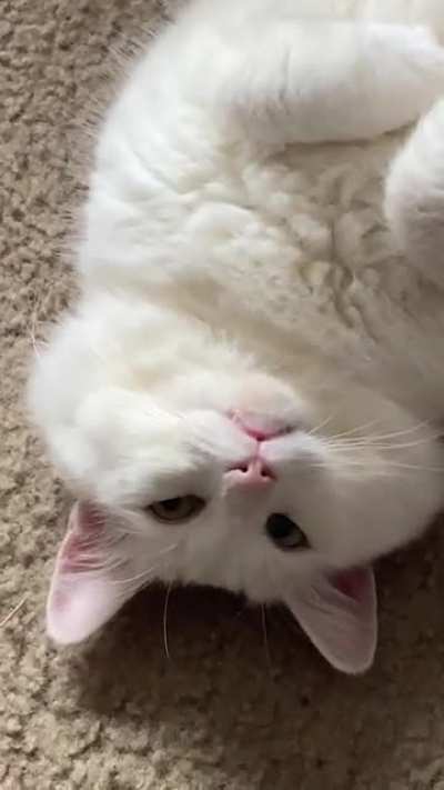 I love this face!