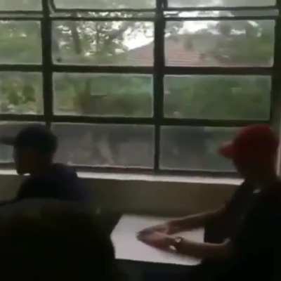 Orquestra de cria