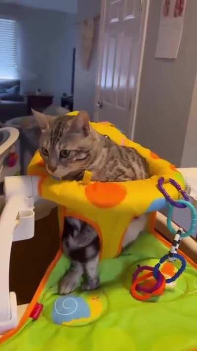 I am a baby too &hellip;