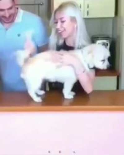 Unexpected poopy finger