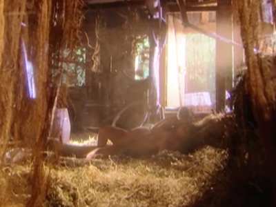 Amandha Lee excellent nude debut in brazilian series A Casa das Sete Mulheres/Seven Women (2003)