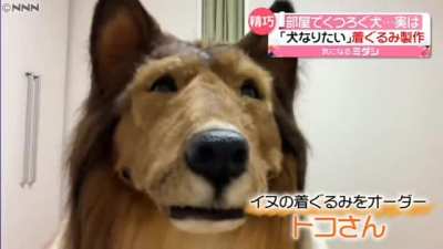 It looks like a dog but it isn't: a man fulfils his dream of being a collie thanks to a hyper-realistic suit worth 14,600 &euro;