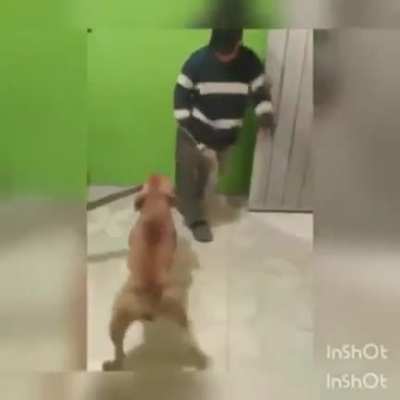 Don't worry he doesn't bite