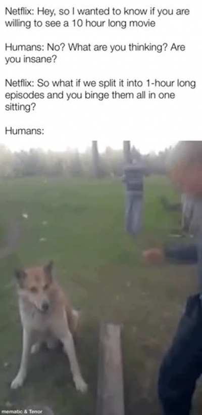 me_irl