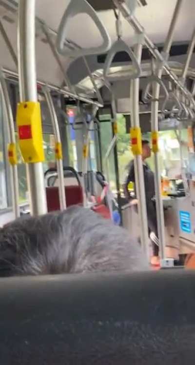 On the bus and this lady gets on but then is asked to get off politely because wearing a mask on public transport is mandatory