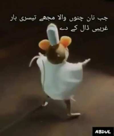 Da mouse do be spiting facts🙄🙄🙄