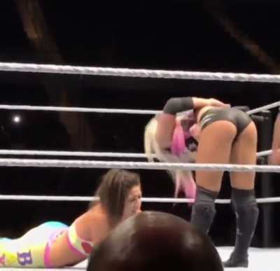 the best gif you&rsquo;ll ever see