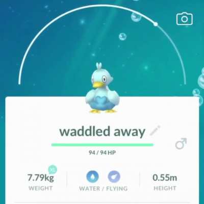 What do you do with 238 Ducklett? This of course!