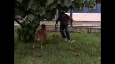 Angry Goat Ft Ozzyman