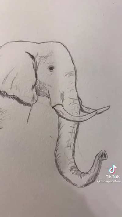 Thanks, I hate elephants.