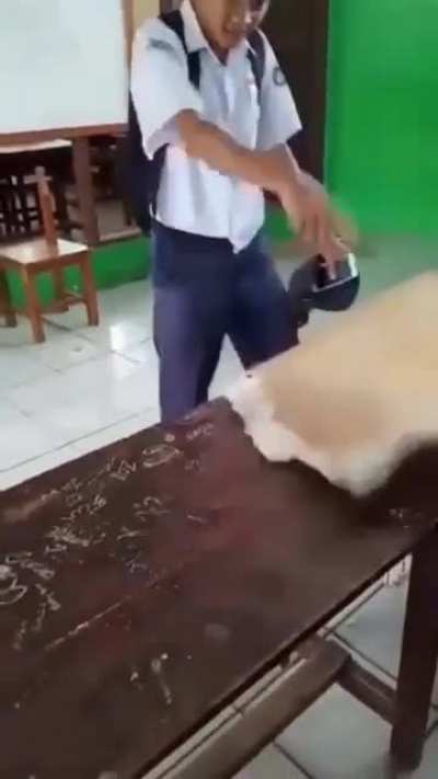 B O N K