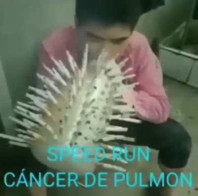 Meo speed run 😎