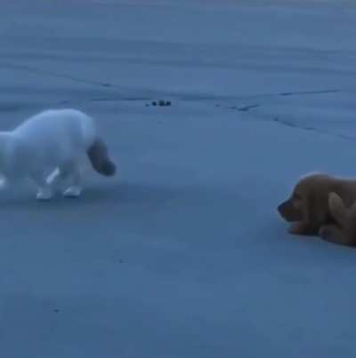 Stealth mode on