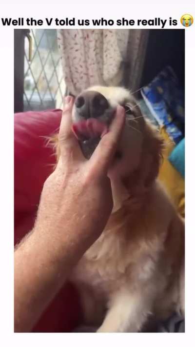 I&rsquo;m in Love with This Dog 😍- Are you?