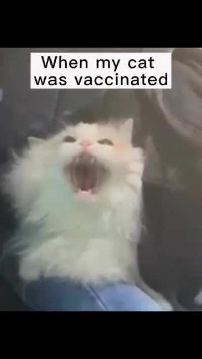 drama queen