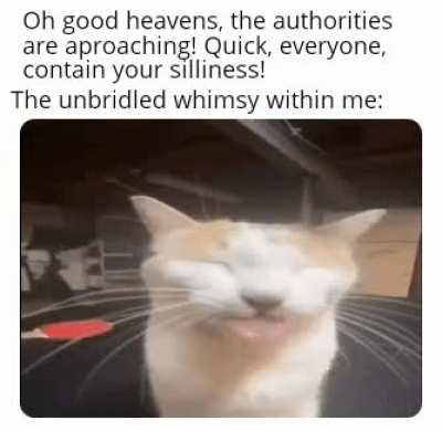 silly rule