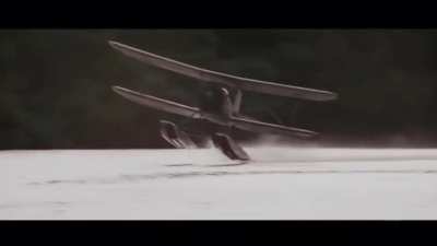Never flying again