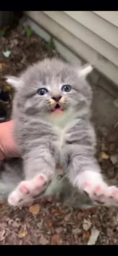 Don&rsquo;t touch, he angy.
