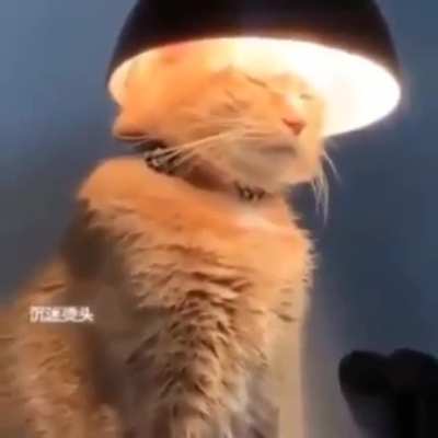 You wouldn&rsquo;t understand a higher being like me