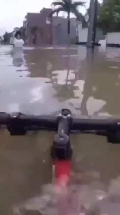 blursed_path