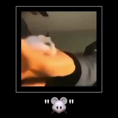 🐭