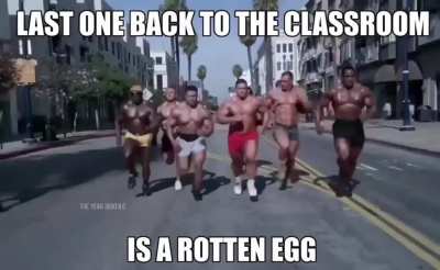 Elementary school be like