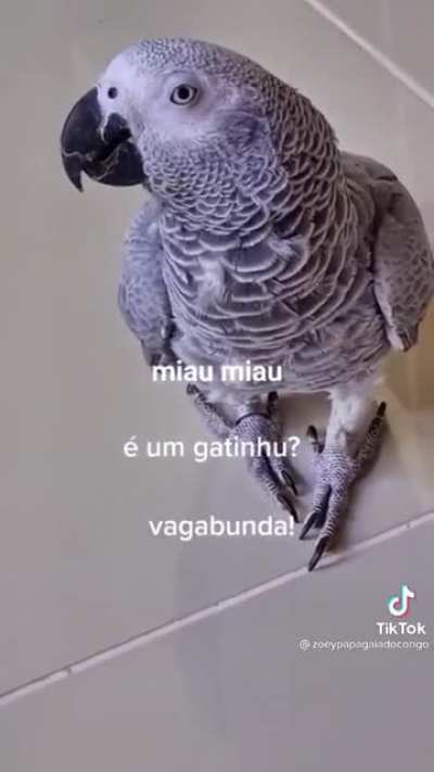 Primeiro post aqui