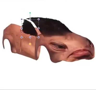 elon musk car