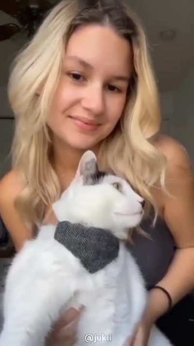 blursed cat
