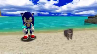 Look this cool cat