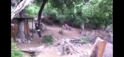Zipline