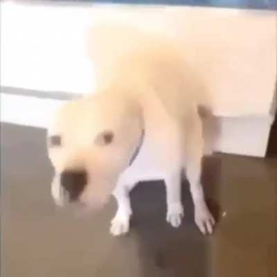 doug