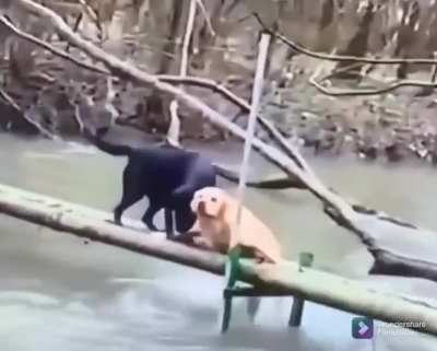 Time to go bud