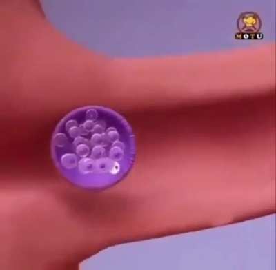 Hm