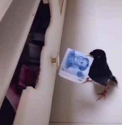 A verdadeira renda passiva