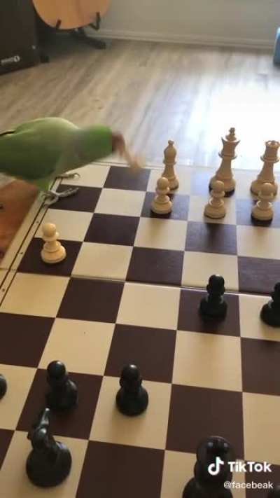 Full cred to facebeak on Tiktok