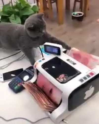 The king&rsquo;s cat and the high priest came up and tied it in bags and counted the money