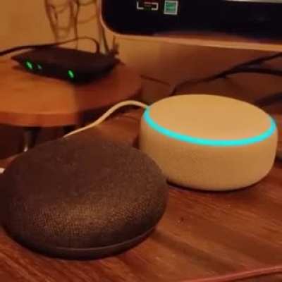 AI's cursing each other