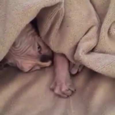 Come here my precious