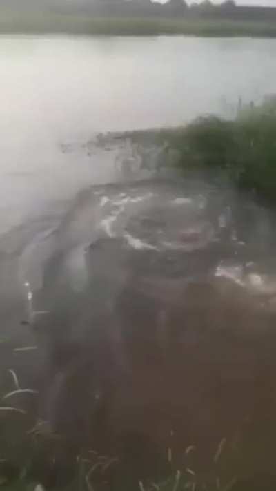 Always remember folks, if the water is murky, don&rsquo;t go in