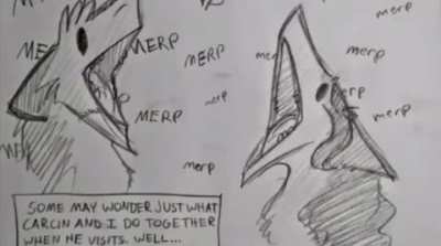 Sergal_irl
