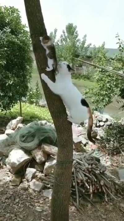 good job