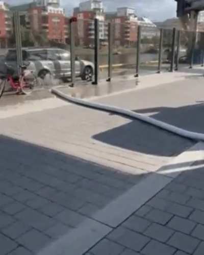 Just skateboarding along