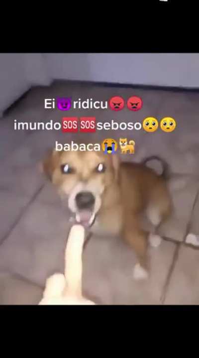 seboso